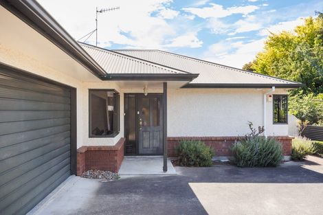 Photo of property in 12 Franklin Avenue, Hokowhitu, Palmerston North, 4410