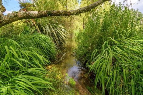 Photo of property in 17 Leyland Road, Whakamarama, Tauranga, 3179