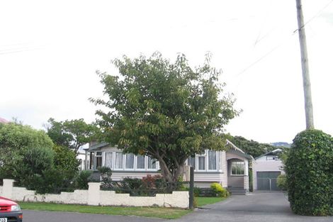Photo of property in 17 Kensington Avenue, Petone, Lower Hutt, 5012