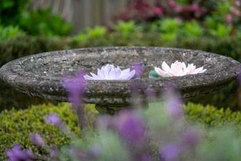 Photo of property in 3 Alba Place, Cambridge, 3434