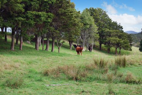 Photo of property in 63 Marshall Road, Kaiwaka, 0573