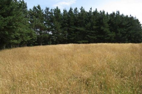 Photo of property in 237 Waituna Road, Pahiatua, 4982