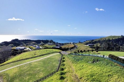 Photo of property in 148 Mimiha Ridge Road, Matata, 3194