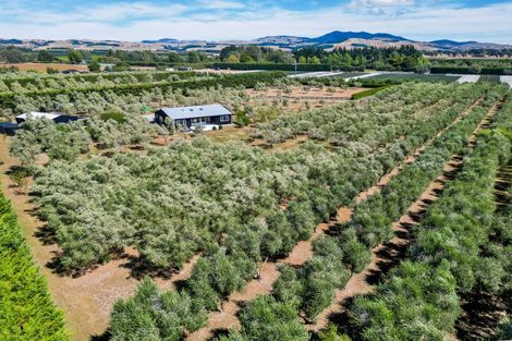 Photo of property in 399a Lake Ferry Road, Dyerville, Martinborough, 5781