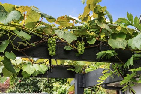 Photo of property in 88 Cotswold Avenue, Bishopdale, Christchurch, 8053