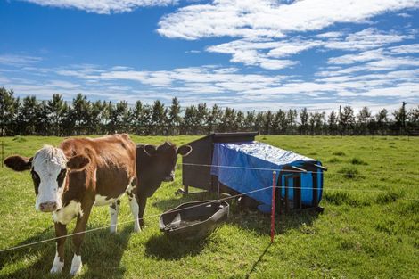 Photo of property in 375 Te Ahu Ahu Road, Waimate North, Kaikohe, 0472