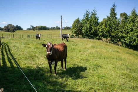 Photo of property in 1570 Buckland Road, Karapiro, Cambridge, 3496