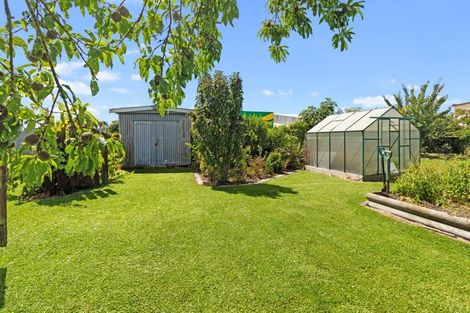 Photo of property in 85 Shearman Street, Waimate, 7924