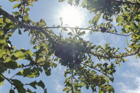 Photo of property in 4a Clerke Place, Marfell, New Plymouth, 4310