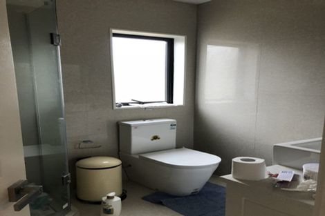 Photo of property in 79 Argento Avenue, Flat Bush, Auckland, 2019