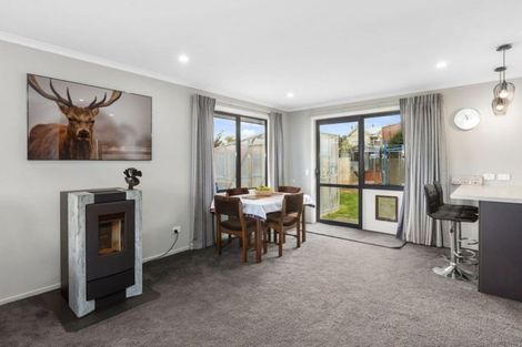 Photo of property in 17 Pennant Street, Wakari, Dunedin, 9010