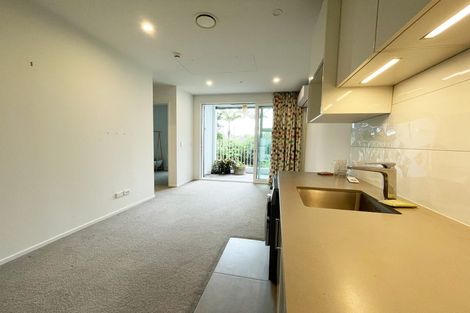 Photo of property in 3/11g Akepiro Street, Mount Eden, Auckland, 1024