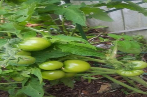 Photo of property in 10 Mariners Way, Whitby, Porirua, 5024