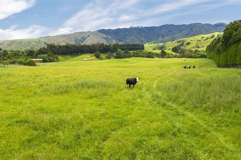 Photo of property in 51 Waimanu Road, Otaki, 5583