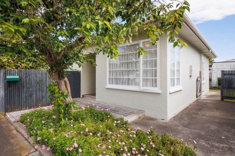 Photo of property in 42a Pitama Road, Awapuni, Palmerston North, 4412