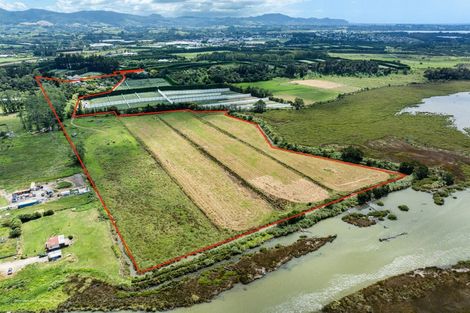 Photo of property in 36 Sedgemoor Lane, Tahawai, Katikati, 3178