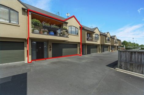 Photo of property in 438f Tristram Street, Whitiora, Hamilton, 3200