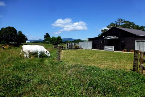 Photo of property in 19 Lerwick Lane, Nukuhou, 3196