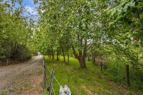 Photo of property in 305 Rapson Road, Kaukapakapa, 0871