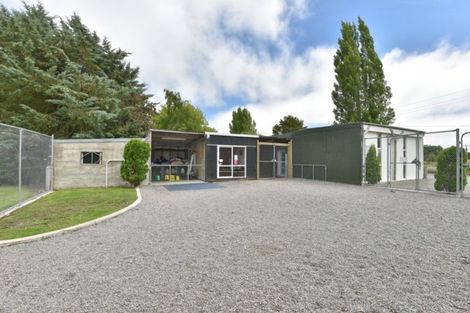 Photo of property in 459 Fernside Road, Fernside, Rangiora, 7471