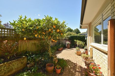 Photo of property in 4/4 Ann Street, Victoria, Rotorua, 3010