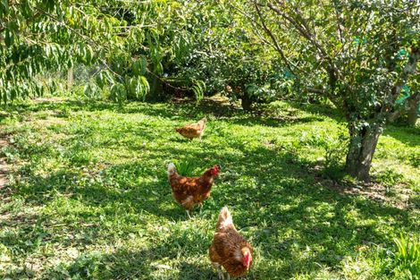 Photo of property in 4460 State Highway 26, Te Aroha, 3393