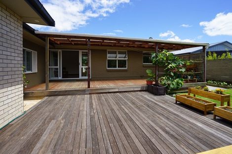 Photo of property in 52 Herbert Road, Queenwood, Hamilton, 3210