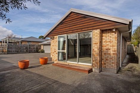 Photo of property in 2b Hammond Place, Witherlea, Blenheim, 7201