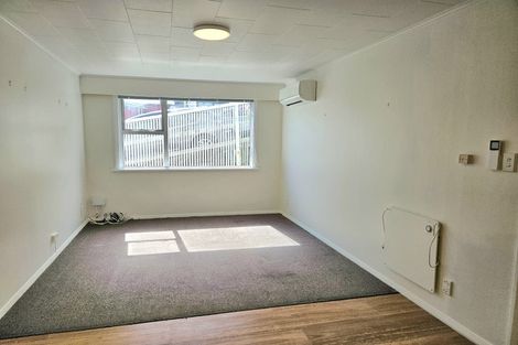 Photo of property in 87 Majoribanks Street, Mount Victoria, Wellington, 6011