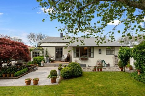 Photo of property in 3 Gillies Avenue, Claudelands, Hamilton, 3214