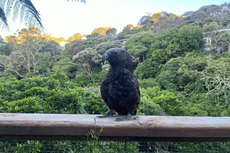 Photo of property in 20 Mairangi Road, Wadestown, Wellington, 6012