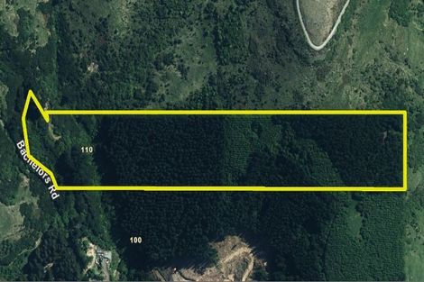 Photo of property in 110 Bachelors Road, Little River, 7591