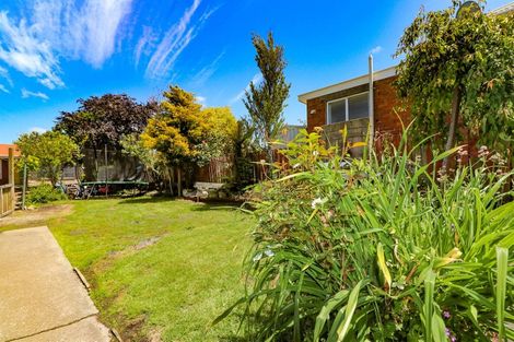 Photo of property in 292 Otipua Road, Highfield, Timaru, 7910