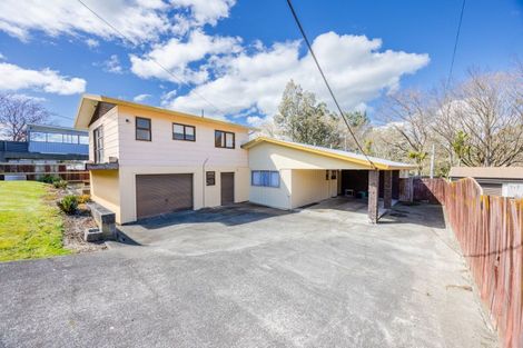 Photo of property in 87 Porangahau Road, Waipukurau, 4200