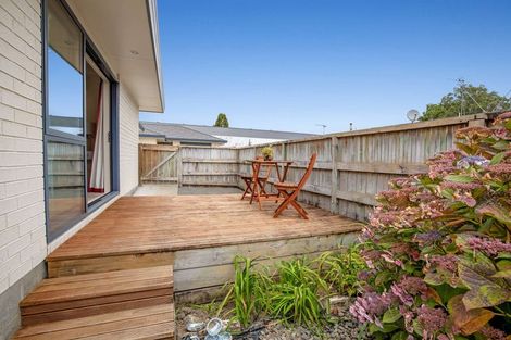 Photo of property in 46a Salisbury Street, Levin, 5510