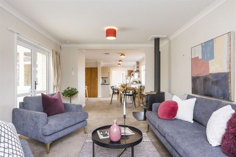 Photo of property in 12 Snowdon Avenue, Terrace End, Palmerston North, 4410