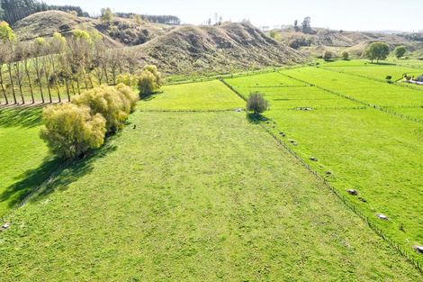 Photo of property in 45 Flemington Road, Aramoho, Whanganui, 4584