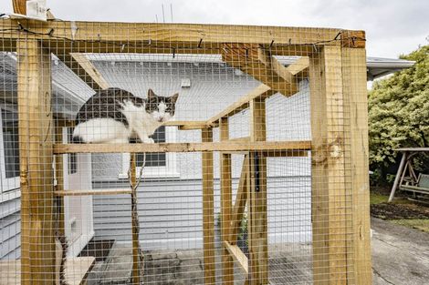 Photo of property in 54 Good Street, Rangiora, 7400