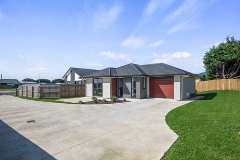 Photo of property in 79a Hinemoa Street, Levin, 5510