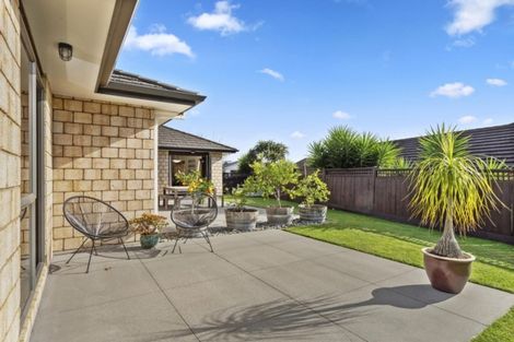 Photo of property in 131 Hollister Lane, Ohauiti, Tauranga, 3112
