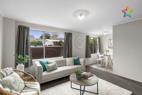 Photo of property in 43d Brunswick Street, Hutt Central, Lower Hutt, 5010