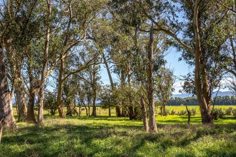 Photo of property in 357a Kahutara Road, Kahutara, 5771