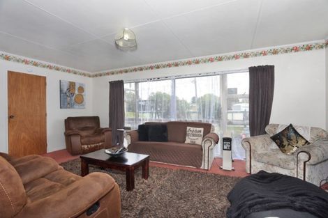 Photo of property in 17 Alexandra Street, Marton, 4710