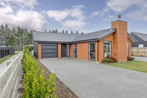 Photo of property in 20 Gleniffer Place, Methven, 7730