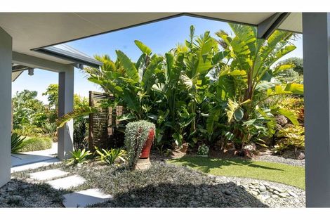 Photo of property in 19 Newton Watts Drive, Kerikeri, 0294