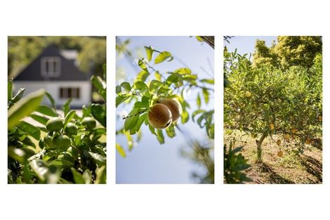 Photo of property in 1 Grasmere Way, Bethlehem, Tauranga, 3110