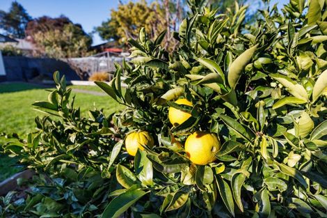 Photo of property in 108 Derby Street, Feilding, 4702