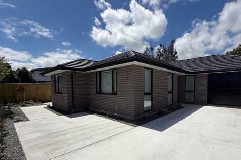 Photo of property in 14a Dudley Street, Levin, 5510