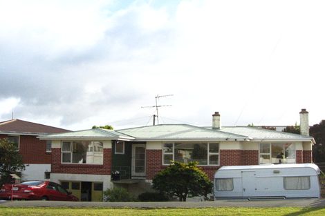 Photo of property in 115 Highcliff Road, Shiel Hill, Dunedin, 9013