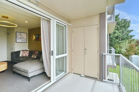 Photo of property in 29/31 Bordesley Street, Phillipstown, Christchurch, 8011